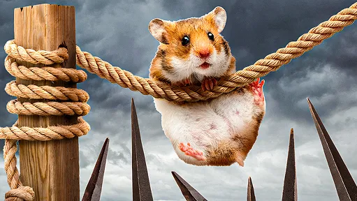 ai thumbnail insights